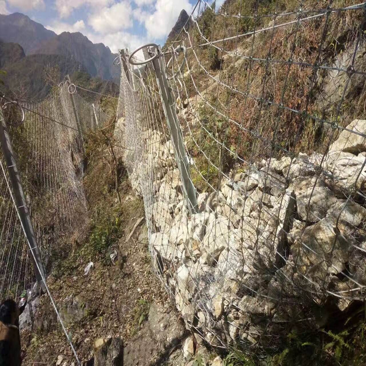 被動(dòng)防護(hù)網(wǎng)