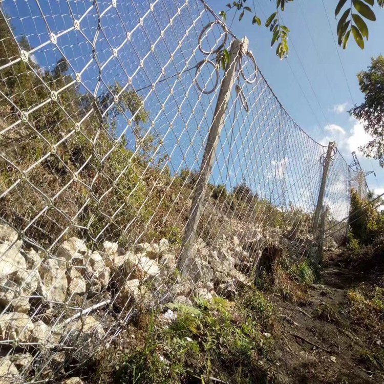 被動(dòng)防護(hù)網(wǎng)