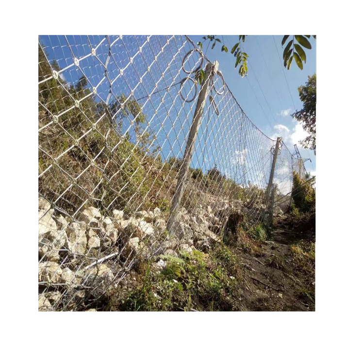 被動(dòng)防護(hù)網(wǎng)