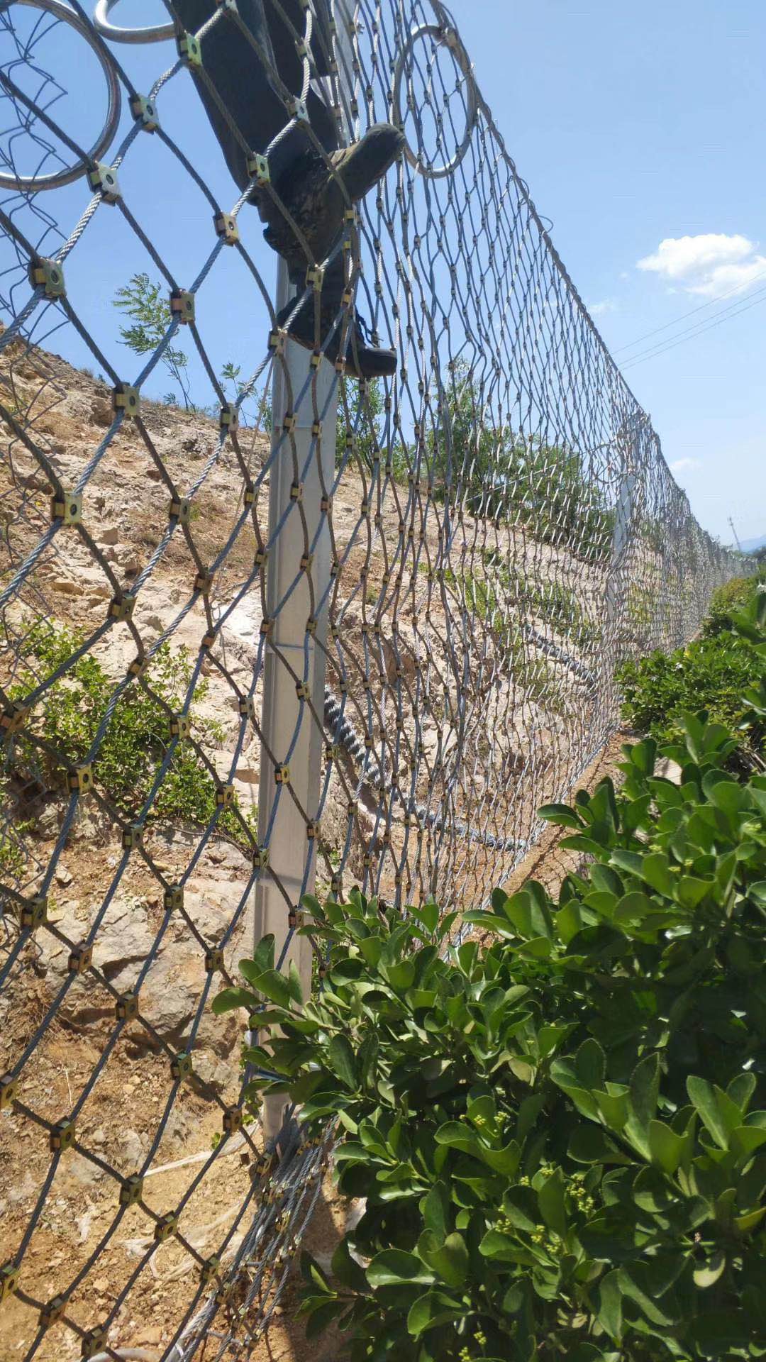 被動(dòng)防護(hù)網(wǎng)