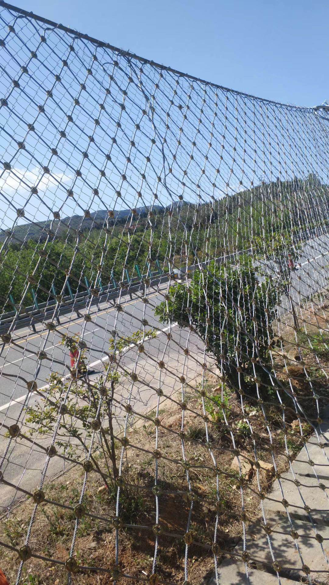 被動(dòng)防護(hù)網(wǎng)