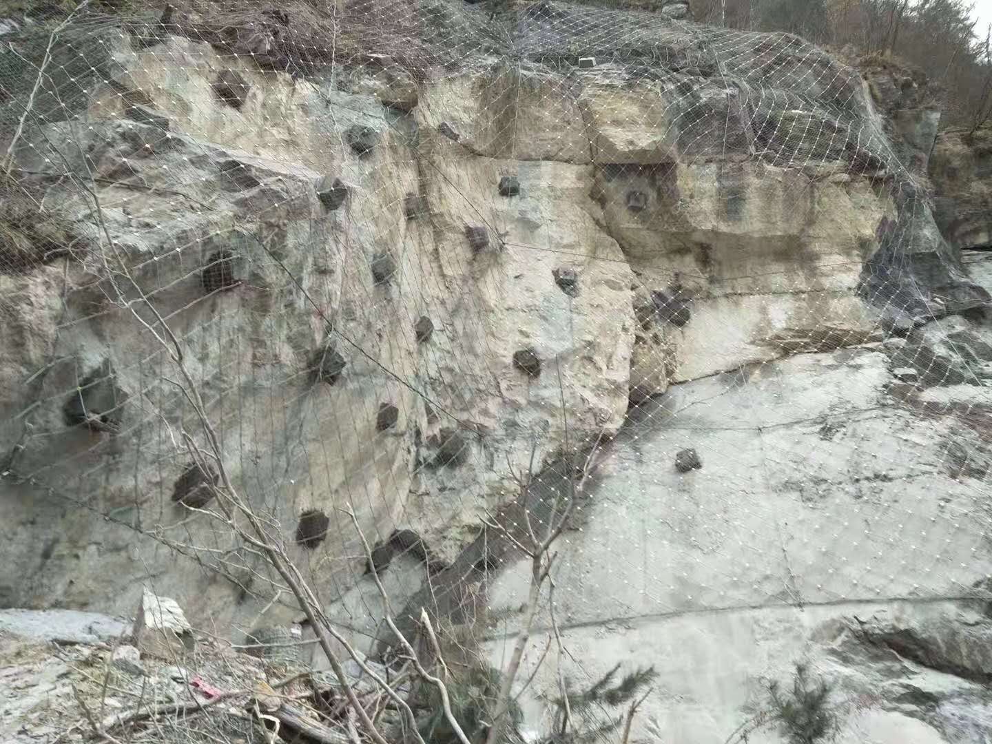 主動(dòng)防護(hù)網(wǎng)