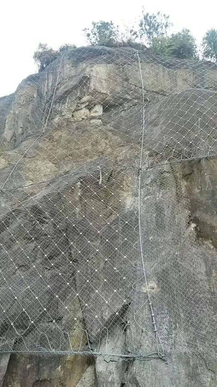 主動(dòng)防護(hù)網(wǎng)