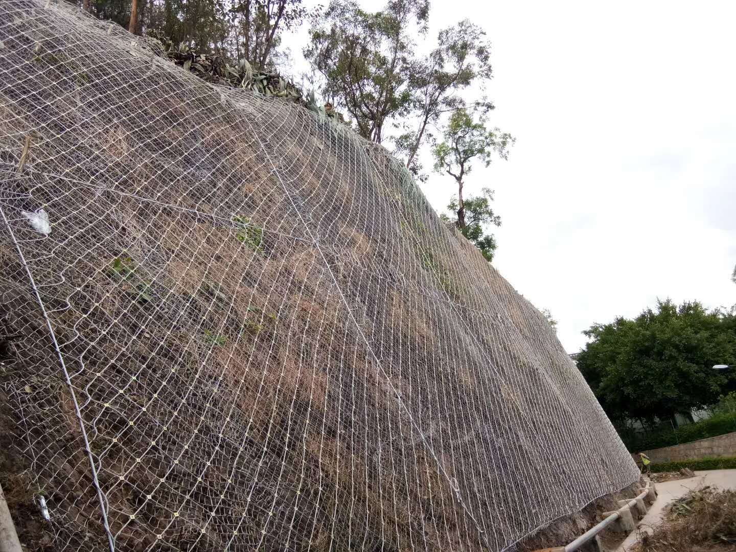 主動(dòng)防護(hù)網(wǎng)