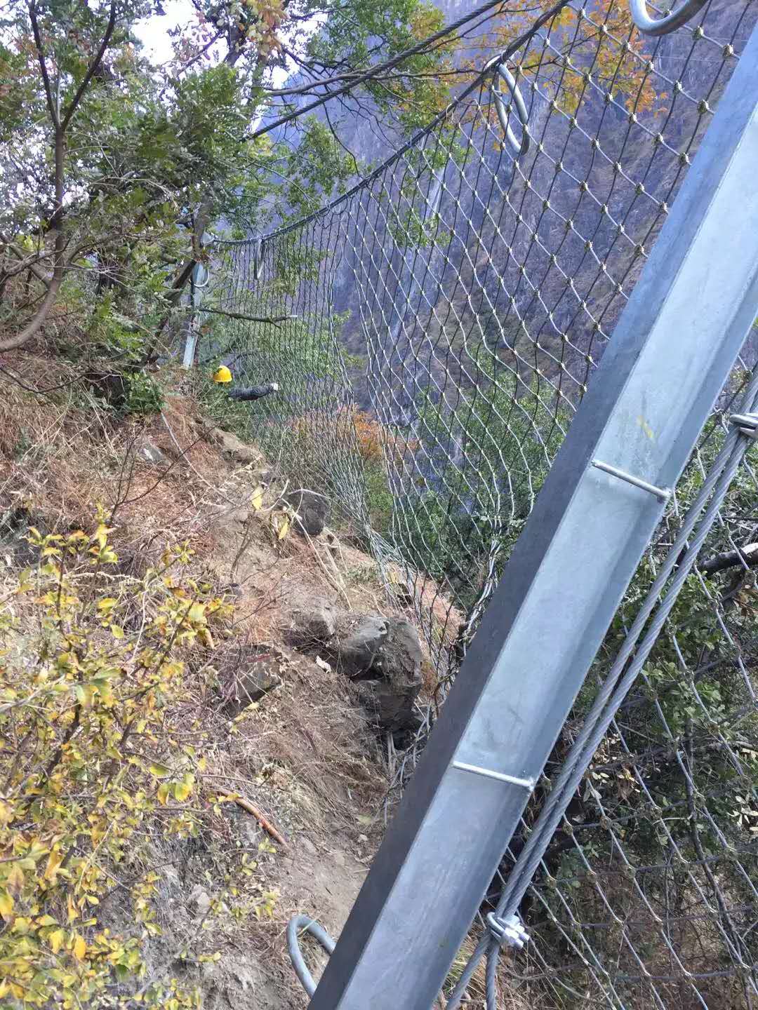 被動防護(hù)網(wǎng)