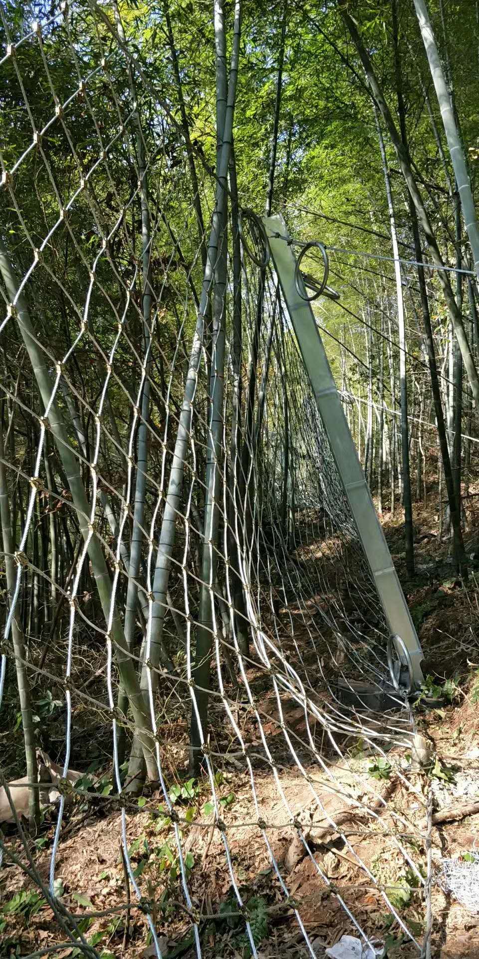 被動(dòng)防護(hù)網(wǎng)