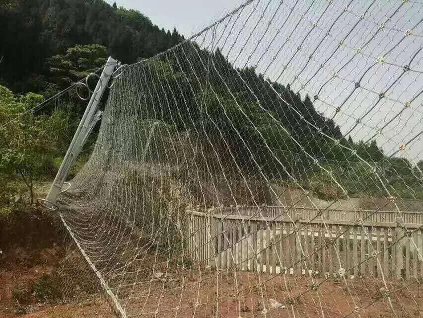 被動(dòng)防護(hù)網(wǎng)