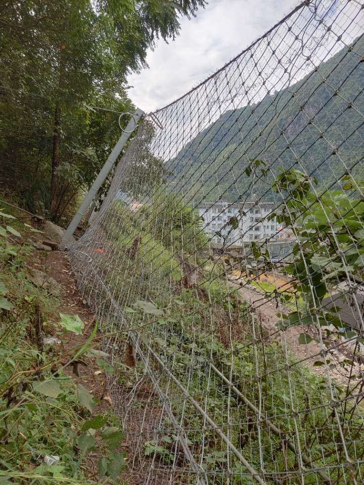 被動(dòng)防護(hù)網(wǎng)