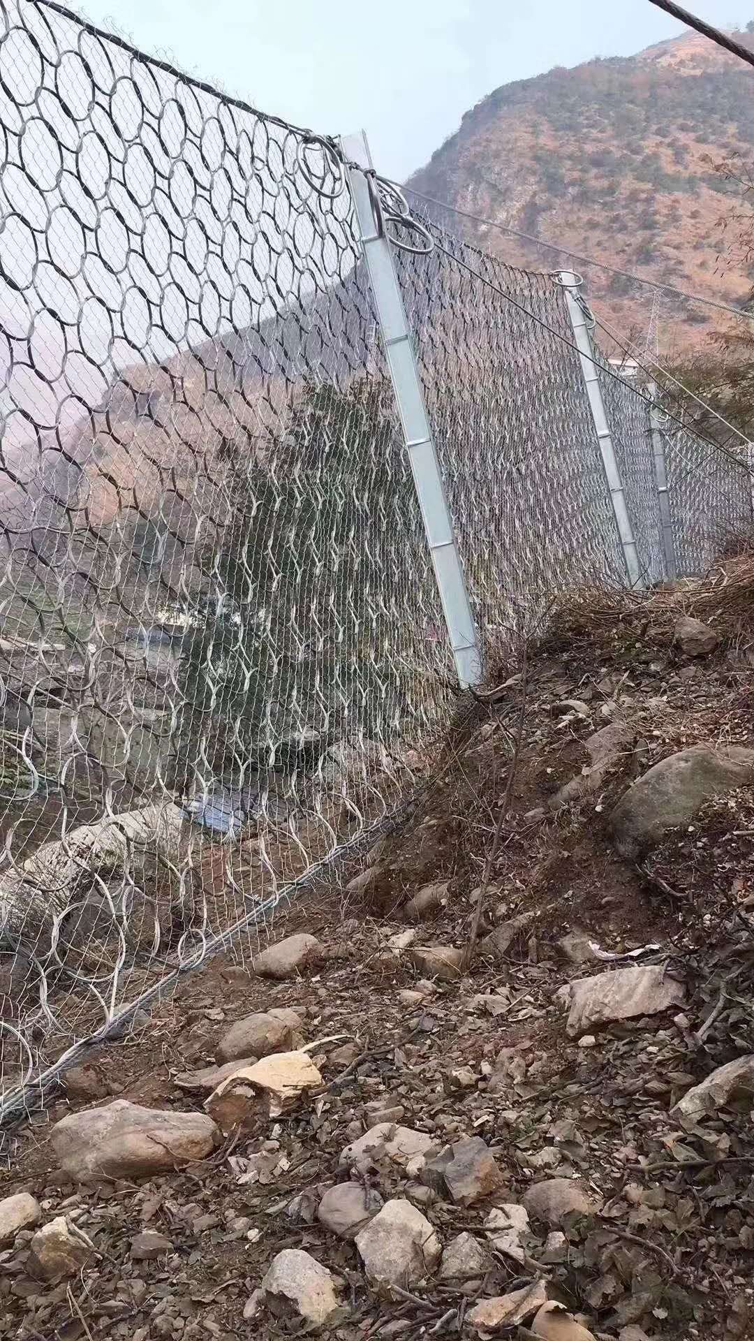 環(huán)形網(wǎng)