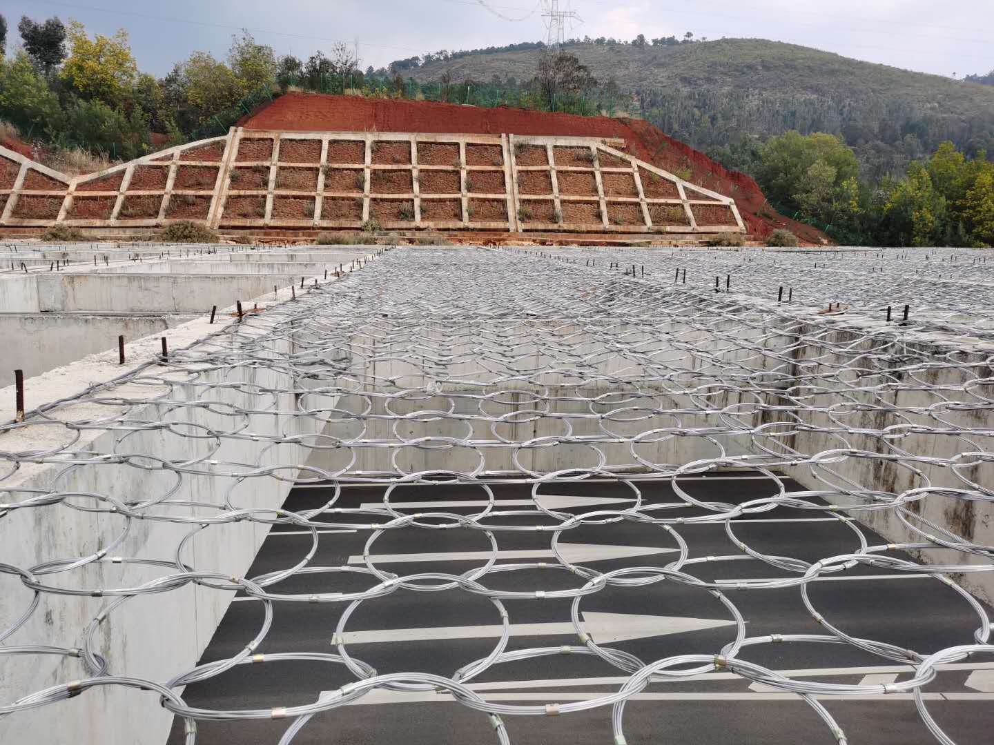 環(huán)形網(wǎng)