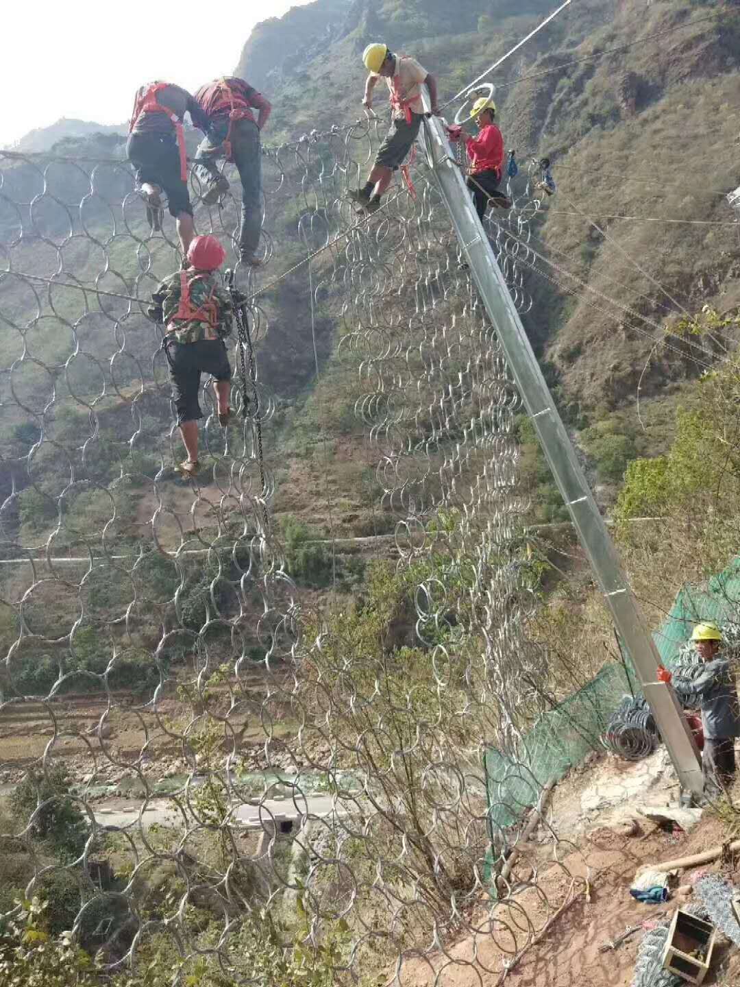 環(huán)形網(wǎng)