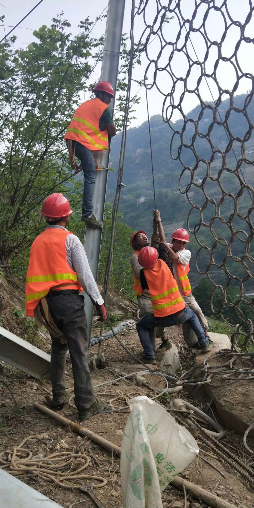 環(huán)形網(wǎng)